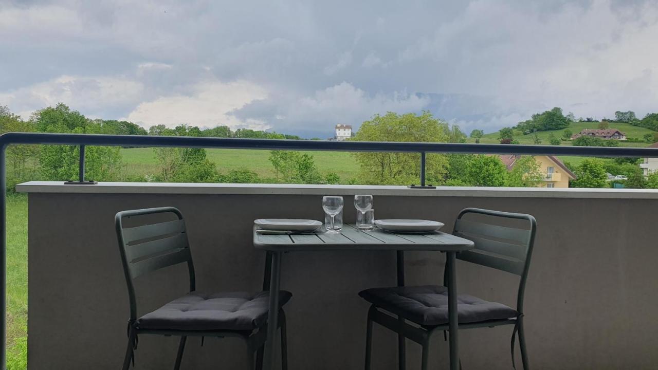 Magnifique Vue Montage Studio Parking Gratuit Appartement Annecy Buitenkant foto